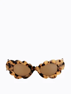 Cloudy - Cream Torti