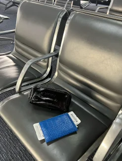 Skip Passport Holder - Electric Blue