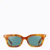 Vinny - Orange Torti/Teal