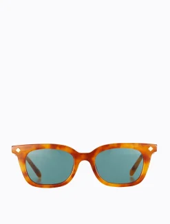 Vinny - Orange Torti/Teal